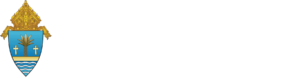 Crescendo Interactive logo